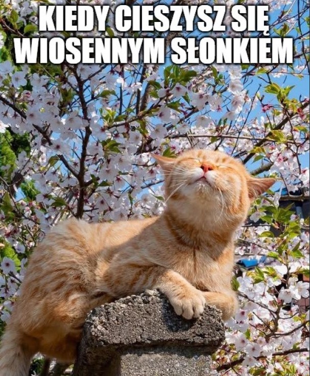 5b56cb0f-b541-4605-b88f-bba6e799ef16