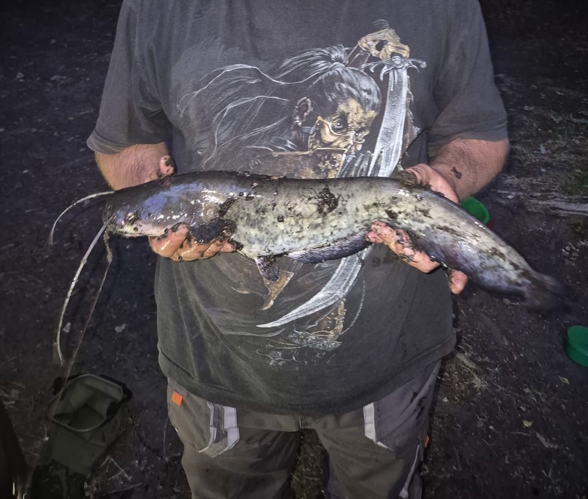 3cfb6230-44fd-49cc-8a66-8b1c44eaa39a