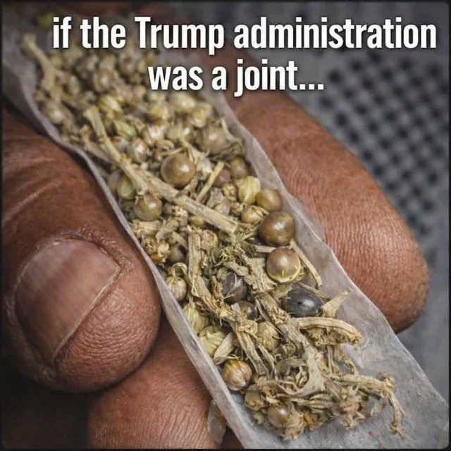 f7955df8-0835-4ee0-99dd-5460604e91f3