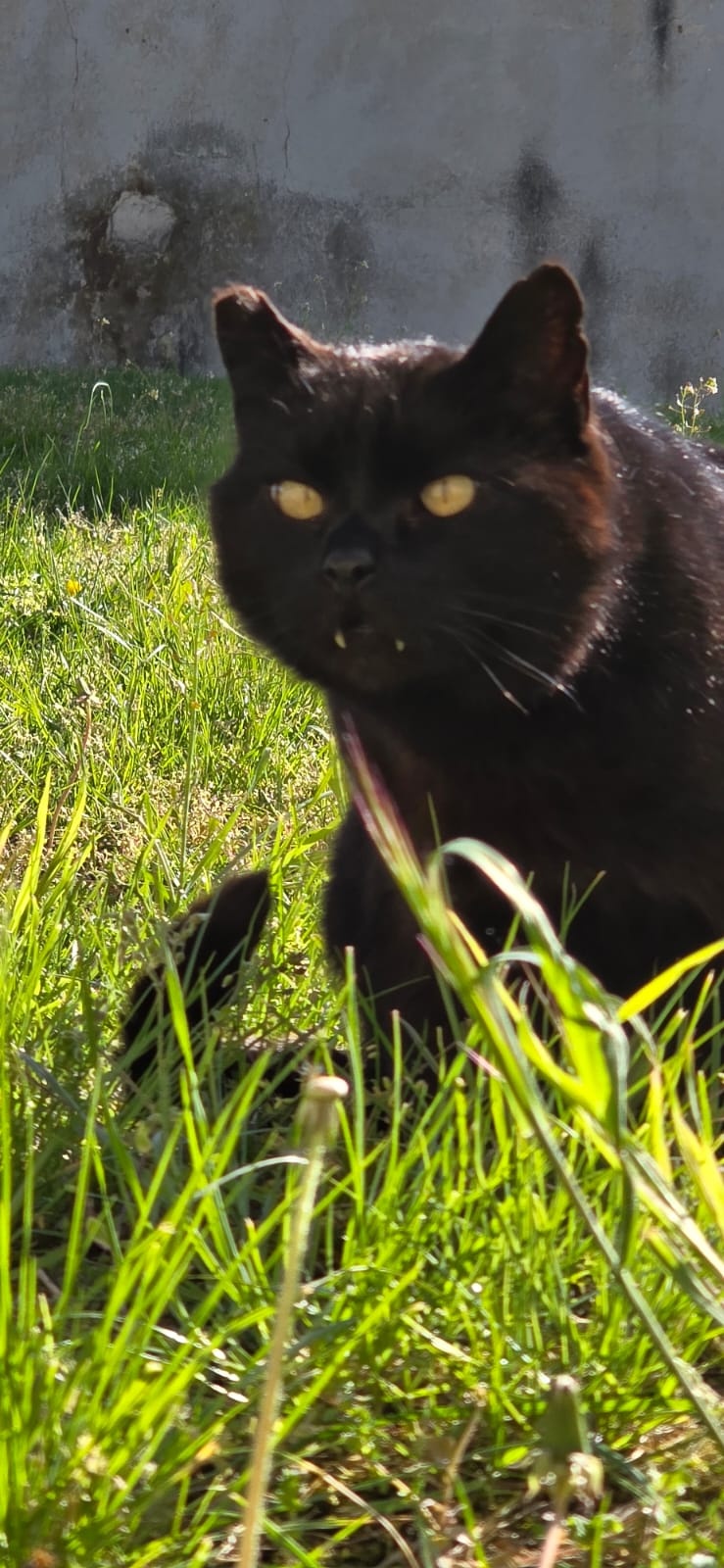 c903453f-d992-4ac1-aec8-efcf4d2ae874