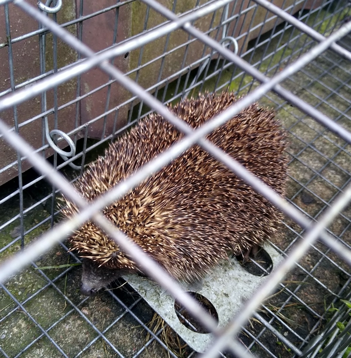 25025fed-1e9c-4b63-b21b-17474d37c36d