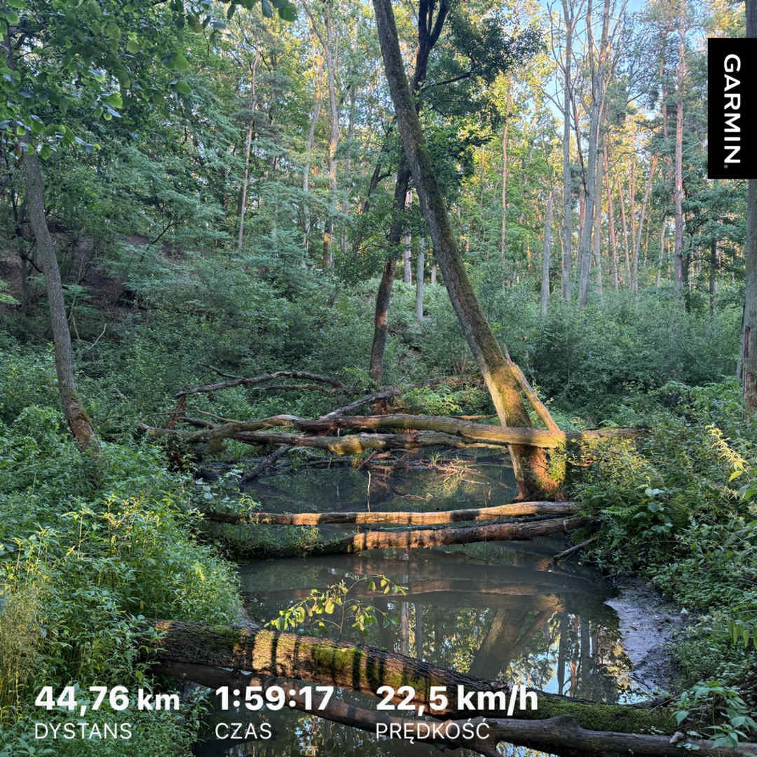 543e9aca-1cb6-4381-8ef0-f5023ecef408