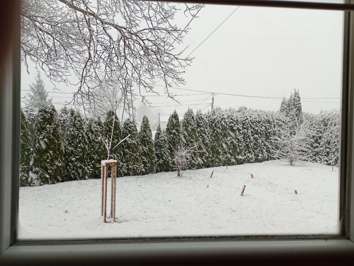 fb2f5f0f-39f0-4485-9e73-af40dd1513f7