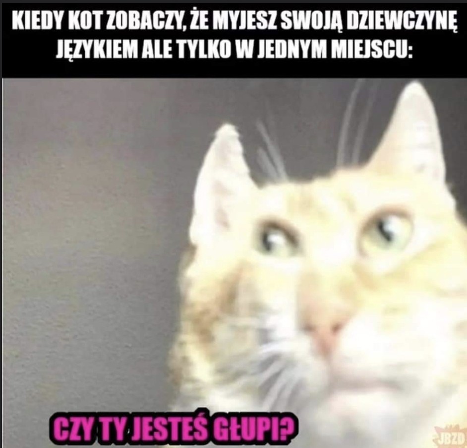 5b83d7cb-6ca7-48f9-9dc8-481fc7180666