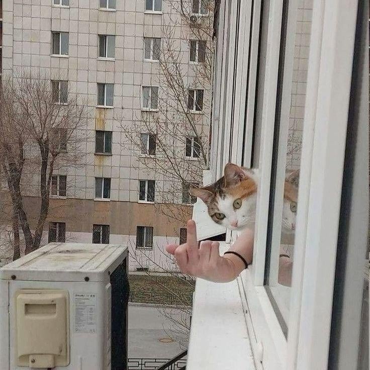 ac54fdf3-d17f-44c5-9526-61edddd59acc