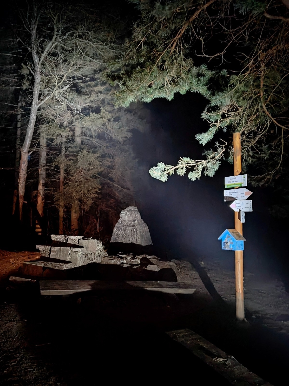 ed96cf67-1c41-466b-b387-a87ead109248