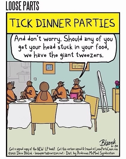 8ba15cac-6102-41cb-b963-2d6c123891af