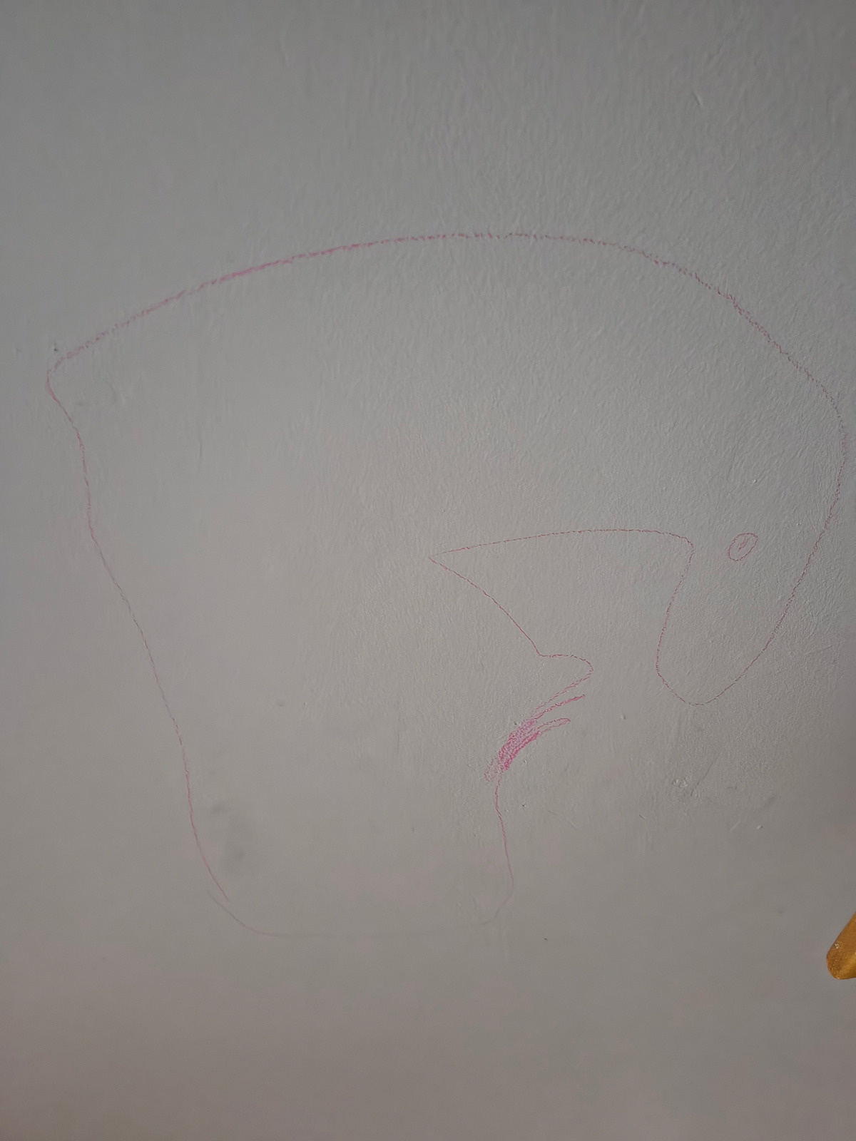 a8492f58-795b-4c89-a7a8-62b7a7ed64ed