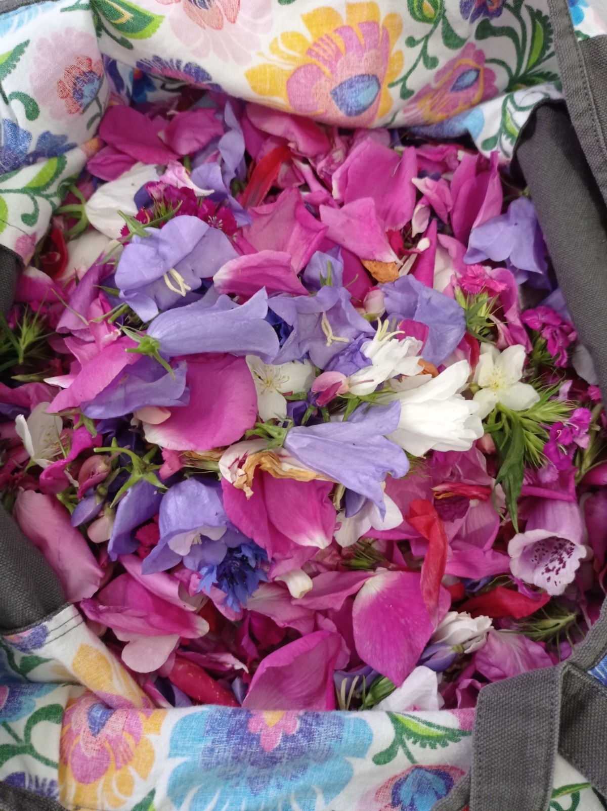 4d8e4408-0799-450e-8608-066e89faefe5