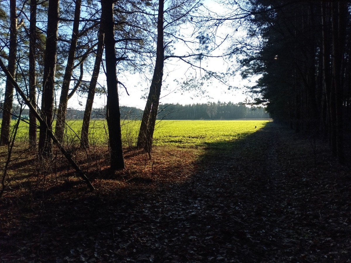 6782fd62-9323-4e1a-b8c8-9fe2a4172b3d