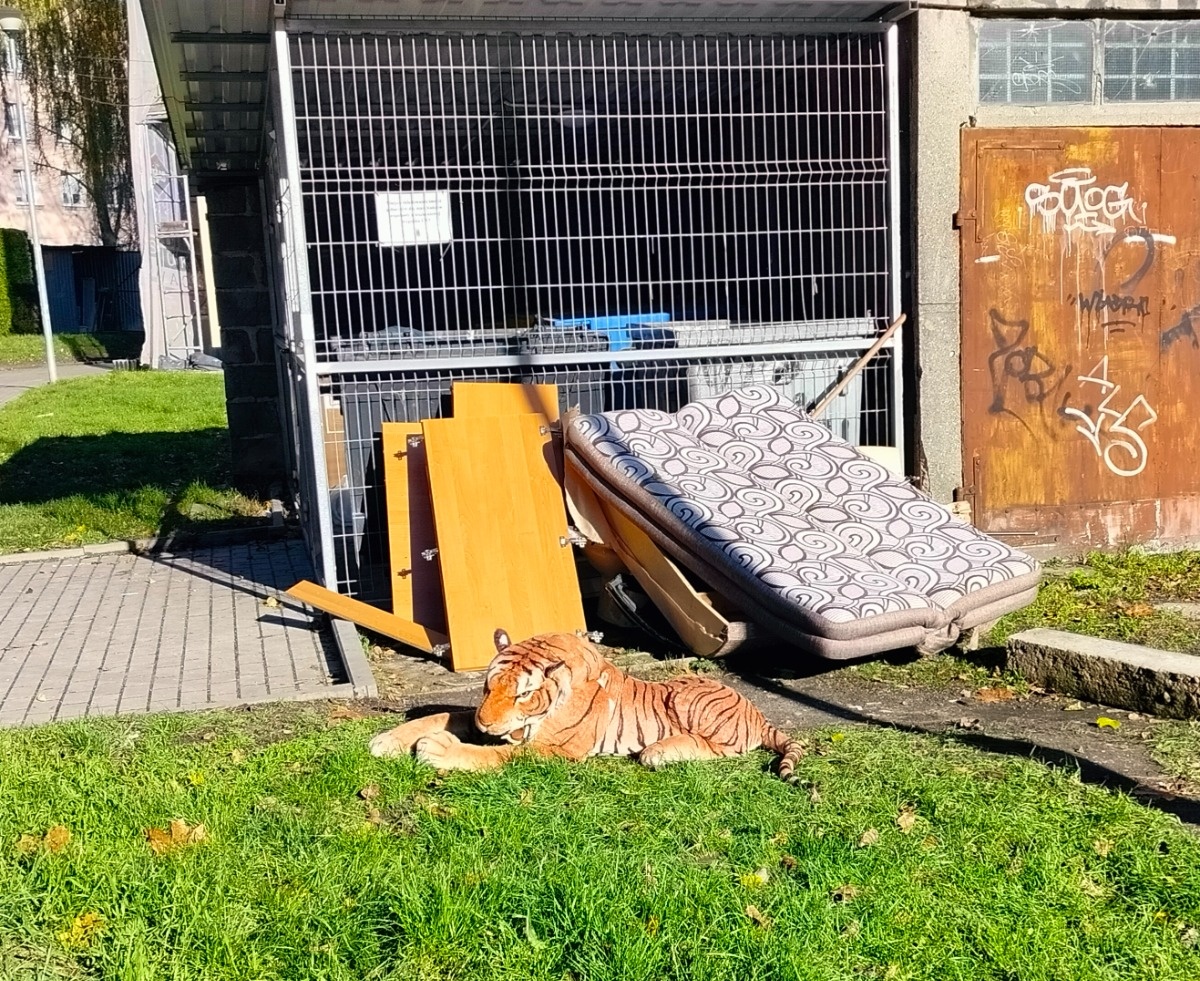 f135afa8-6a09-4e57-9957-a272cfe79265