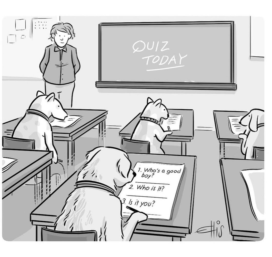 ae20939e-df54-4c86-aa2f-bd98f3bbad12