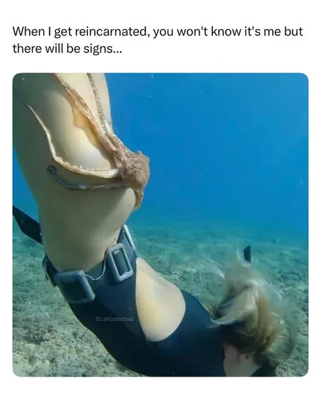 d721fb5f-545b-44f4-a7fd-835a012bd060