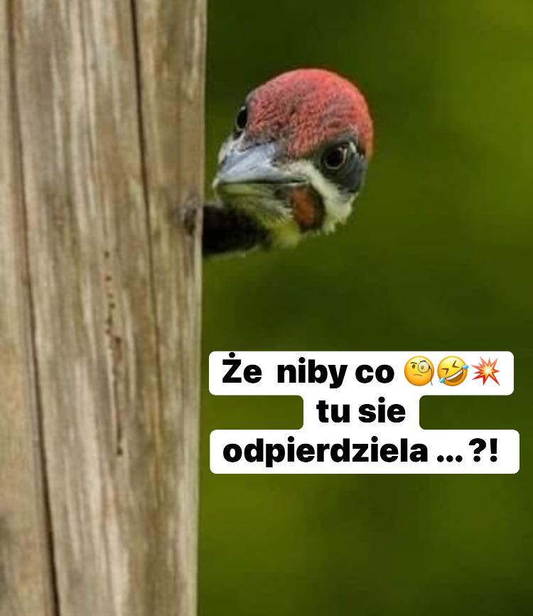 4e2054fa-e0ab-4ba5-9723-c9ab2f965707