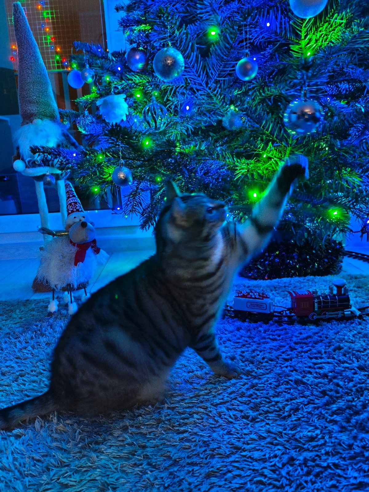 9a1af41c-c05c-41e1-b874-7e54319797f8