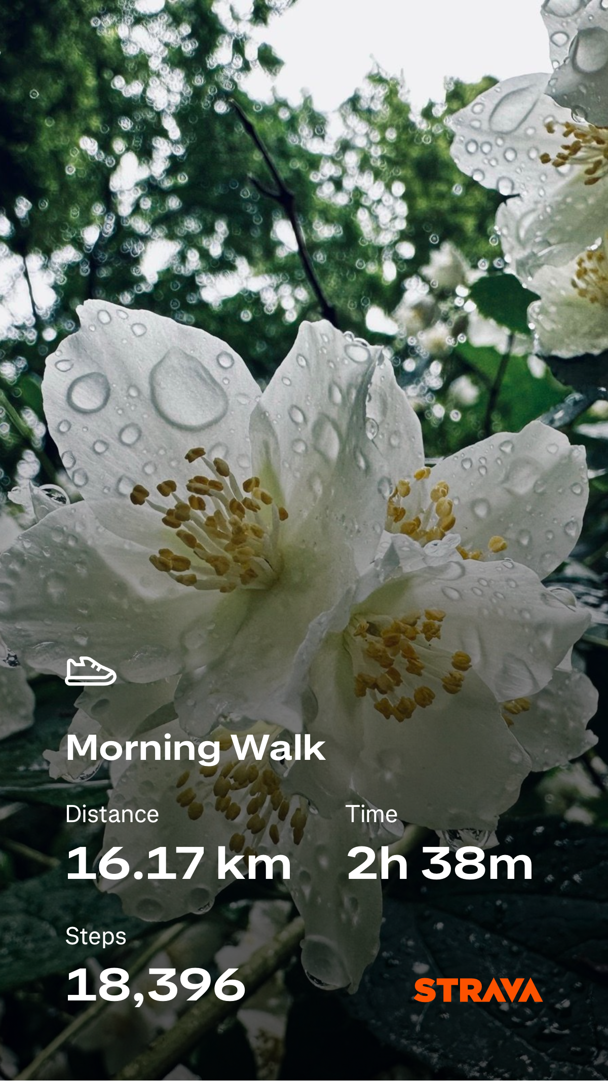 1da2cc09-aca7-44fa-8d15-d6592308bc2a