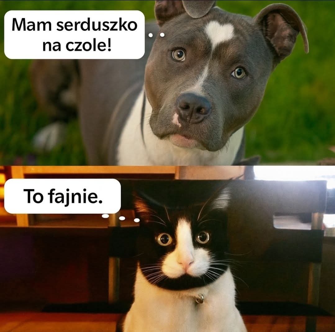 4ddd5870-bbd7-4125-935f-2fefb8071d6b