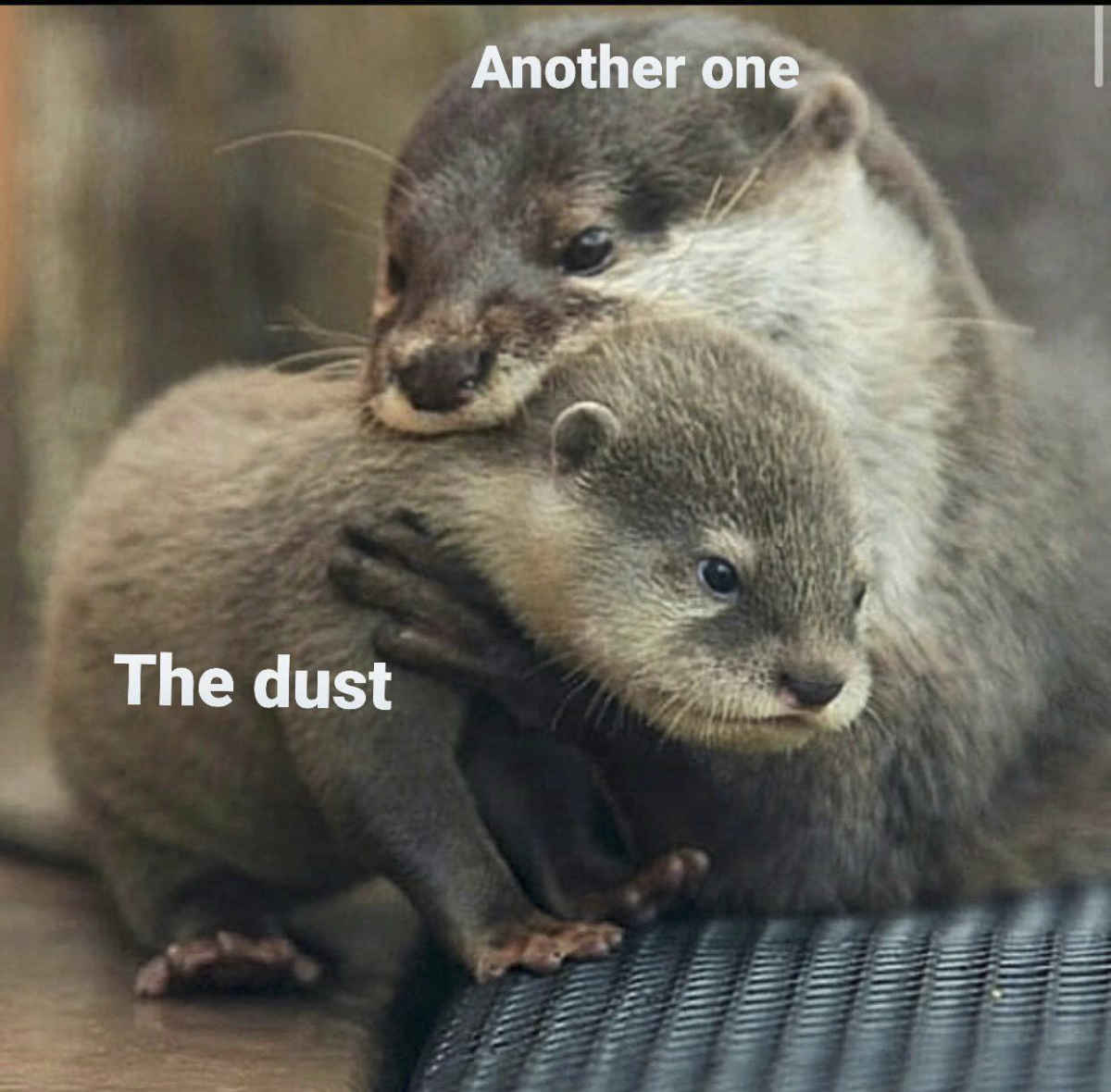 7bea3962-53d2-48e6-a42e-7d09dc441647