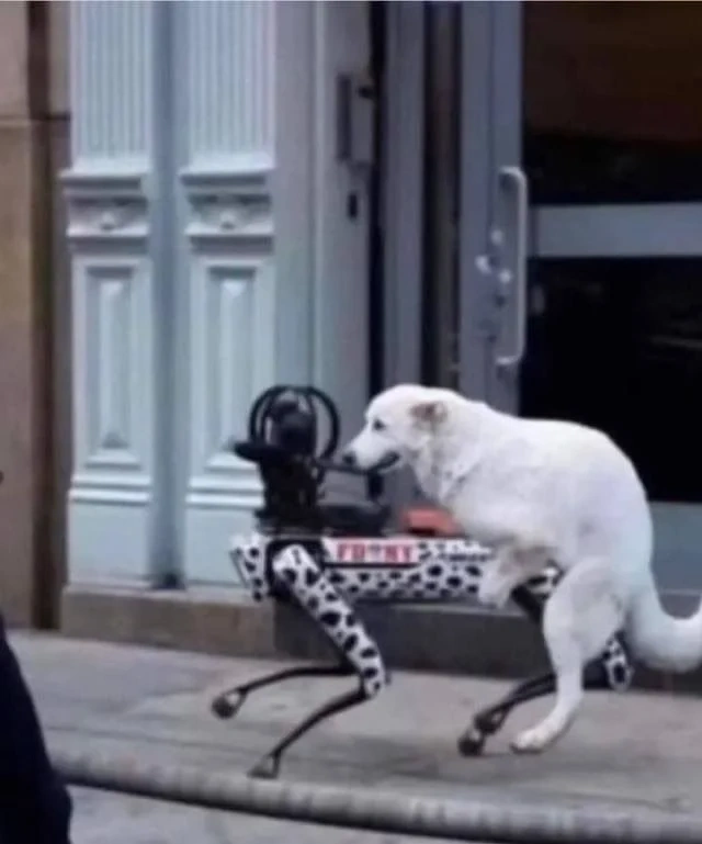 f8863254-1874-42e6-a1e1-fb8d0cfa773d