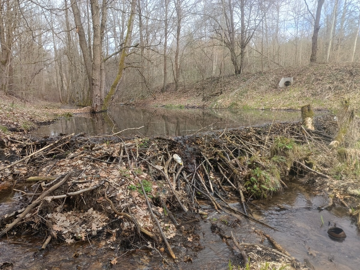 f6ed20ff-fbac-4396-82f2-5f617c3bae80