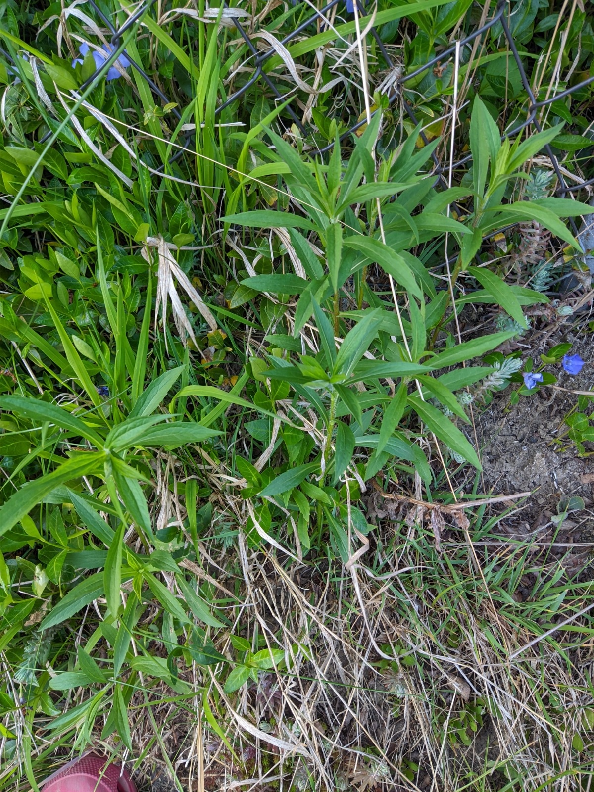 9f09c56f-60e5-4a17-bdea-51cf9f8765d0