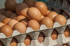 GIS ostrzega. Salmonella na skorupkach jajek