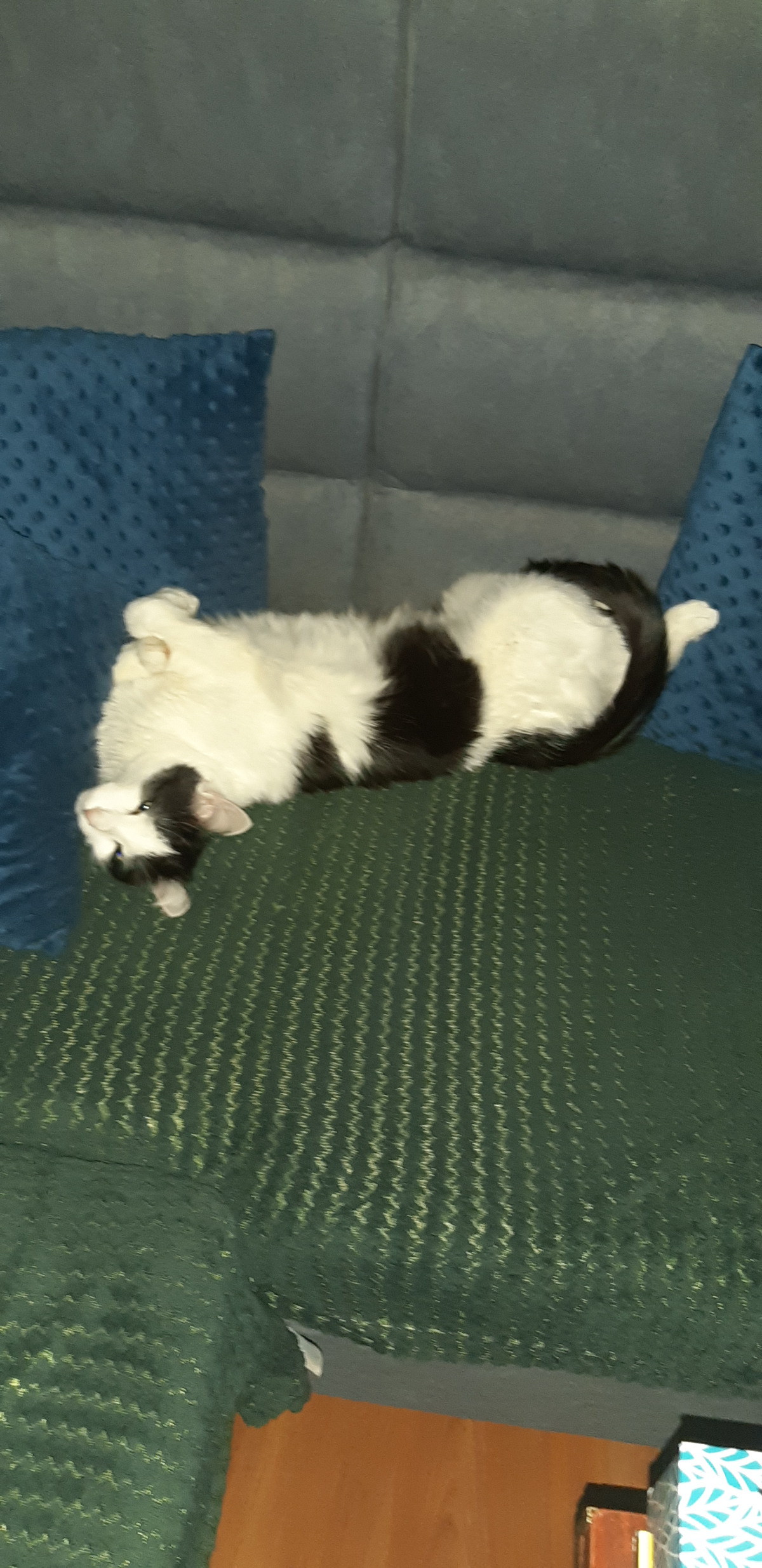 f594cf78-a754-4d60-a852-4d6f7be6ddd9