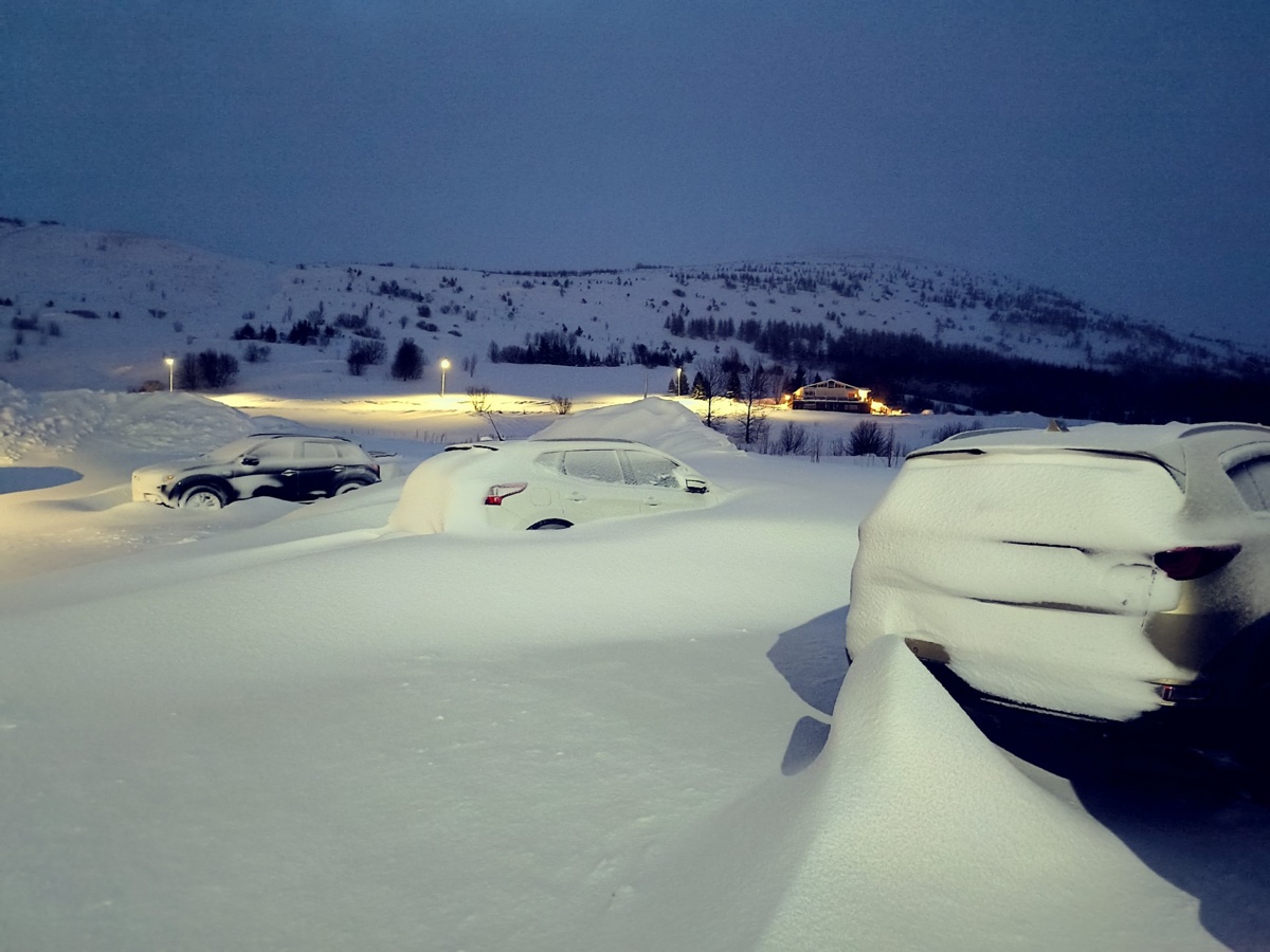 996c005a-9511-4bb1-a872-c44237c71eba