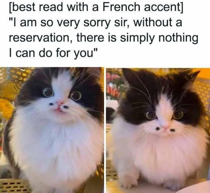 97fa6f83-1c9b-480e-ab78-7795ca83bc00