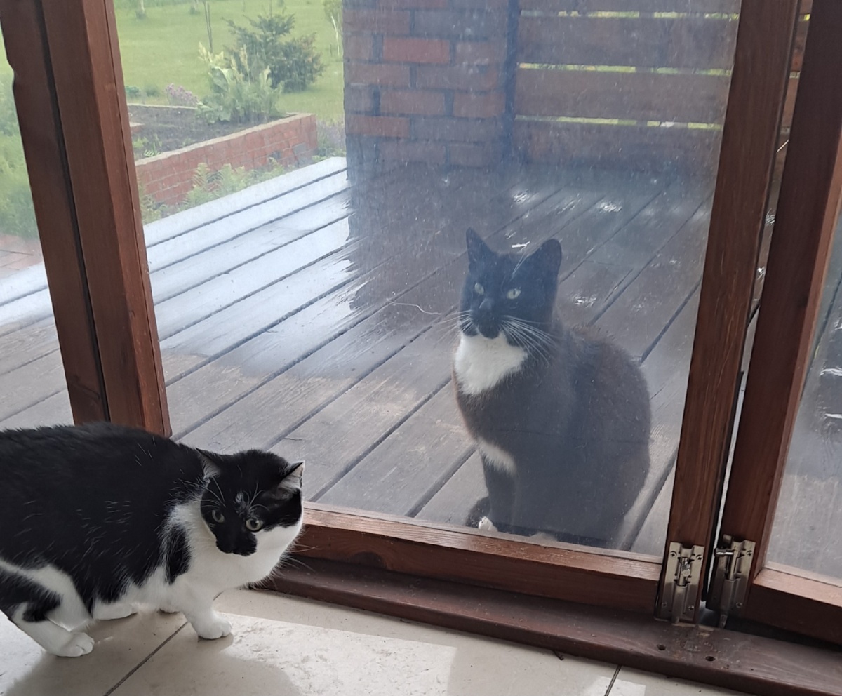 3dcb373b-7a2a-4dbe-a77c-479f76de2960