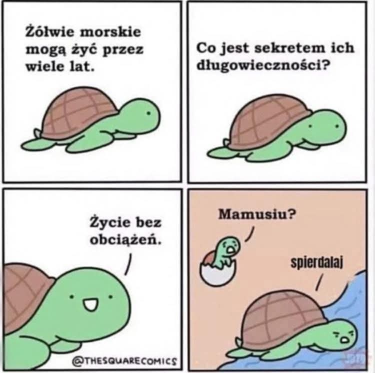 d0fd0e2d-a908-4822-8829-dd48baccf2cd