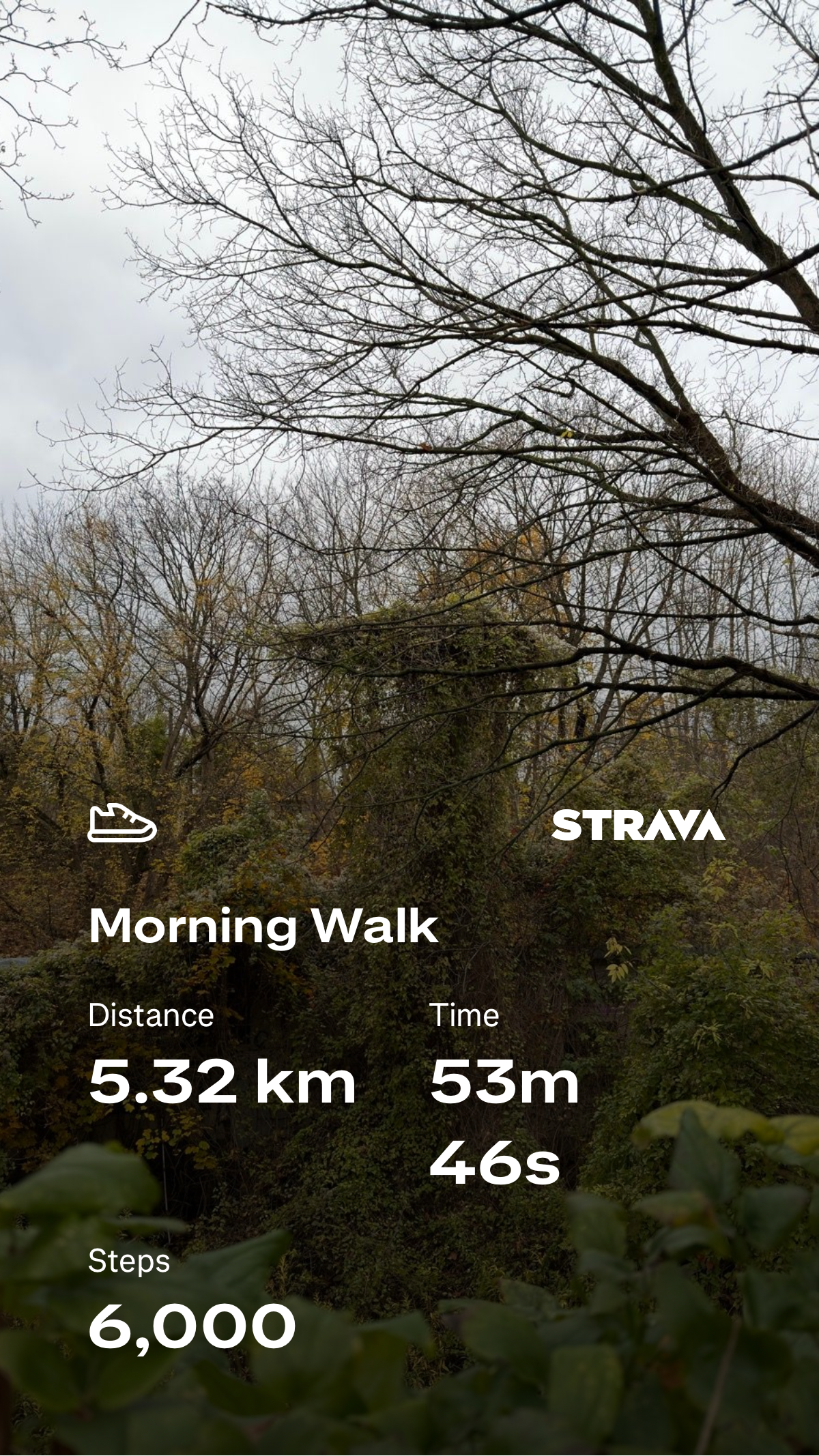 31f8636a-d302-4978-a5e7-55013949f640