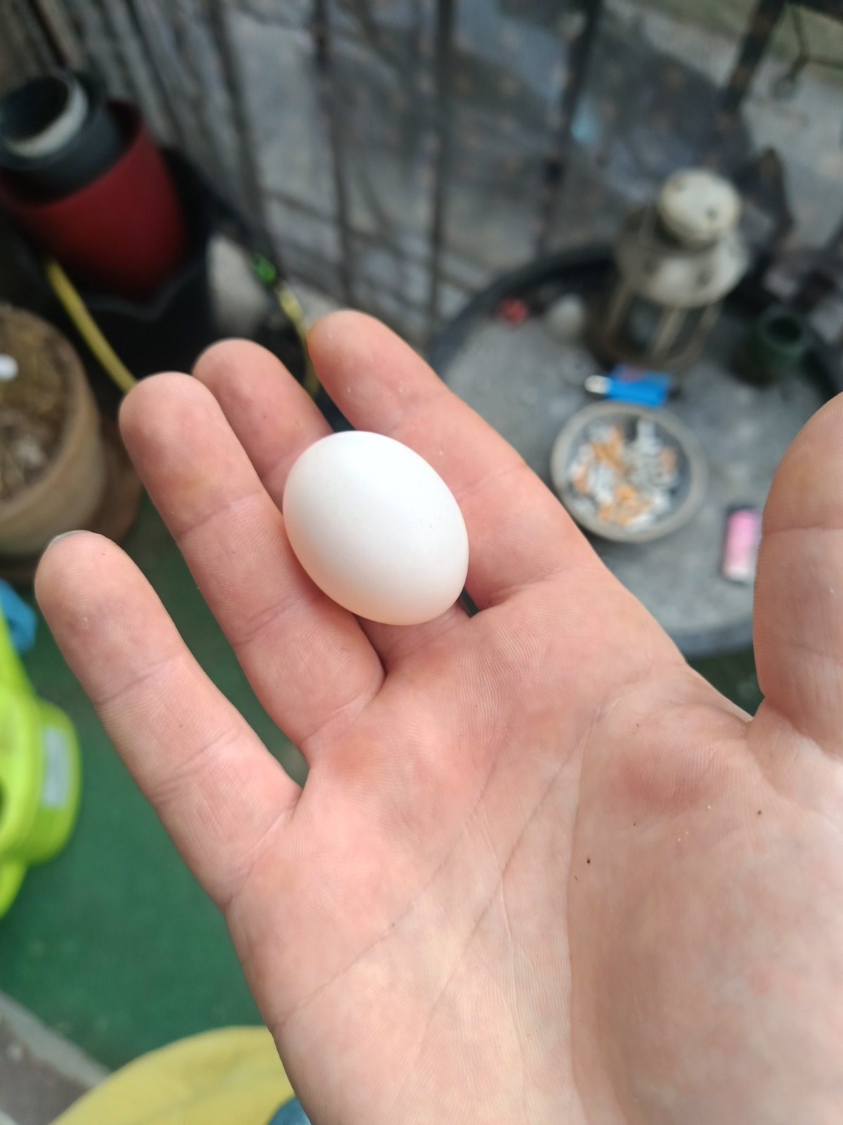 980ea734-a6ed-4729-86b0-afe37dda2d61