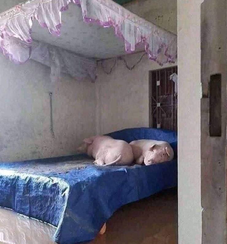 5d64bcc5-3888-4203-a026-98efdc55a700