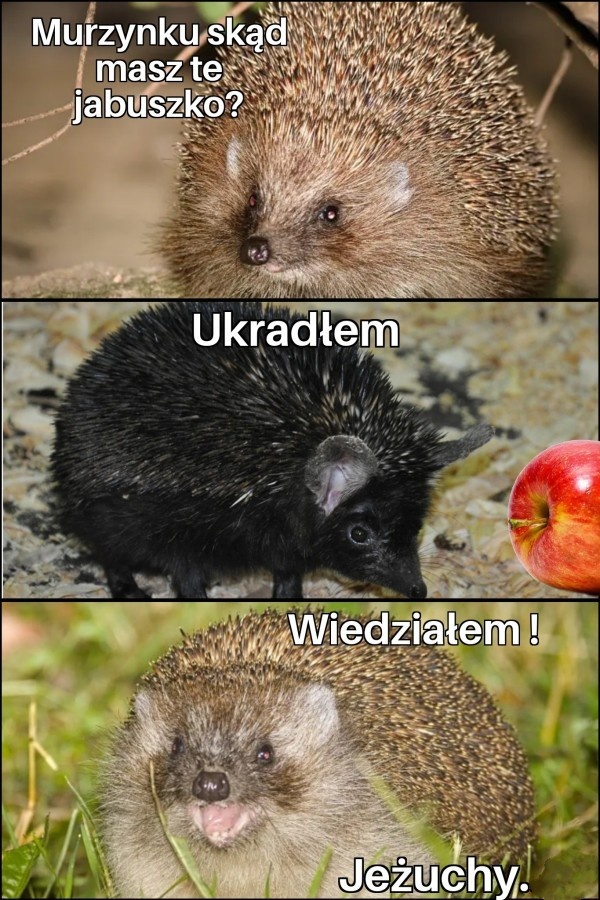 c3f2d381-d121-48ea-b087-7e179dc1023c