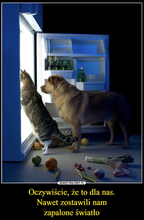 06f6ee6d-e94d-47ff-8615-052c2cc2d5b5