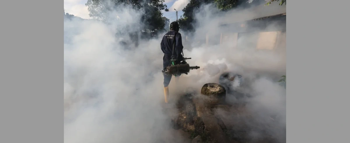 Najgorsza od dekady epidemia dengi. Wojsko Sri Lanki walczy z plagą komarów