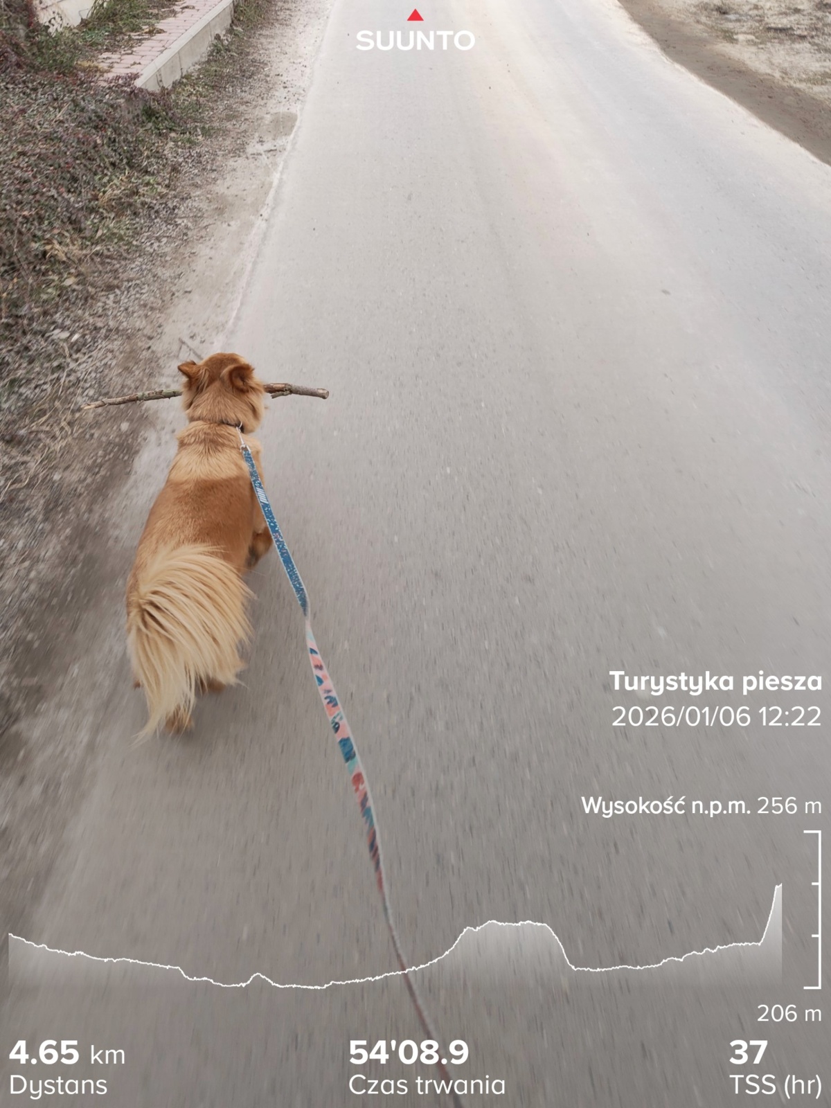 65a92249-5339-438b-843e-3dfc50ea7cc9