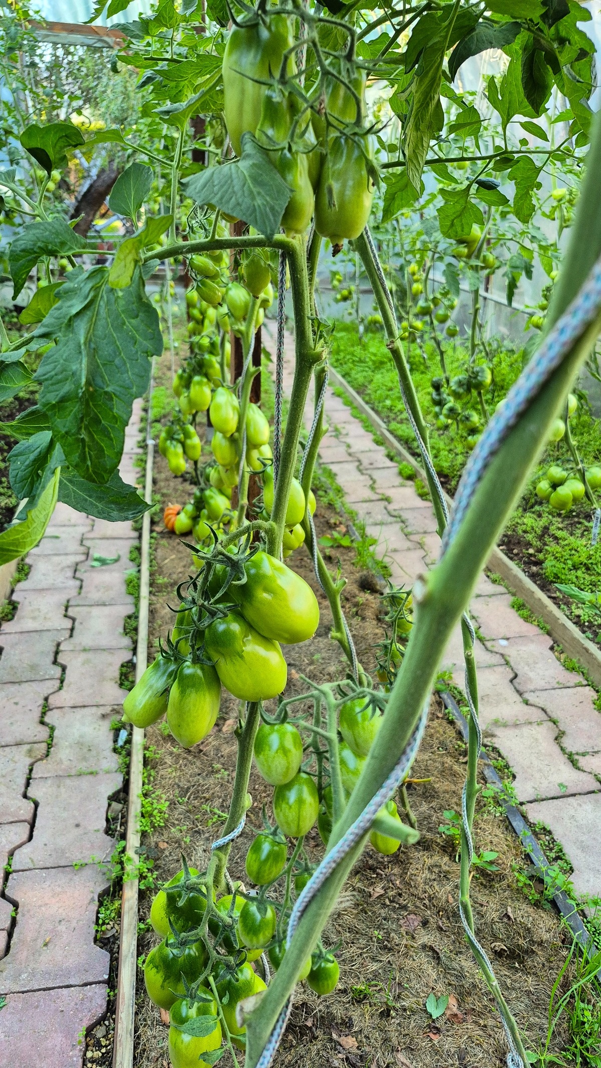 b5e88e63-74b4-4c96-9c9a-682c380c53d2