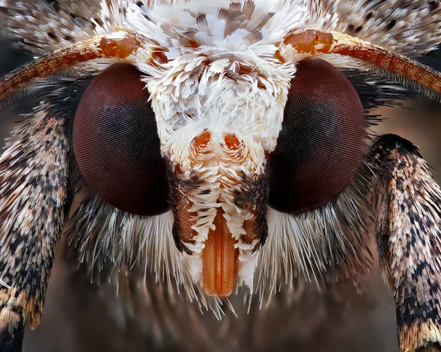 7733bd77-81d4-4f9e-8fe7-de150facd70e