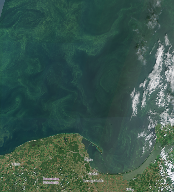 ddafbaaf-ccdc-4747-bf33-1709487b445e