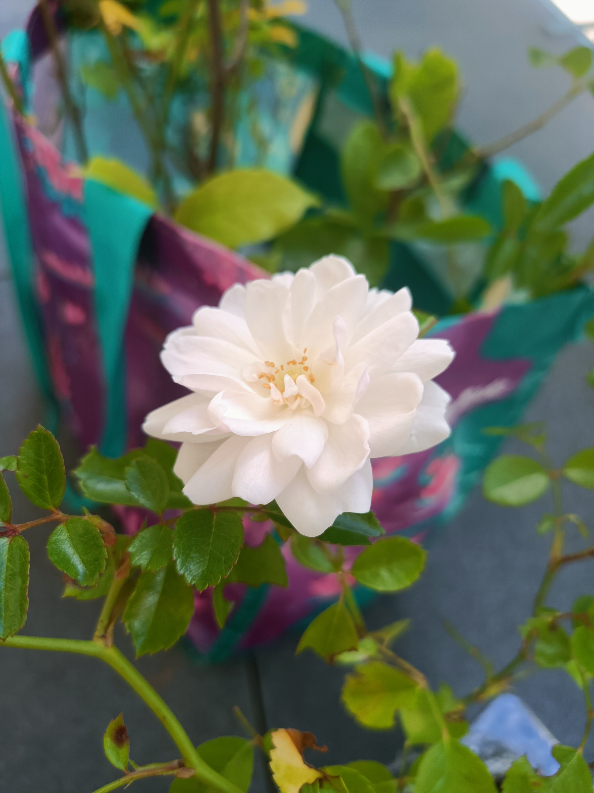 ea7a2ab1-3104-4f3a-b9ef-7cc4cb7bd011