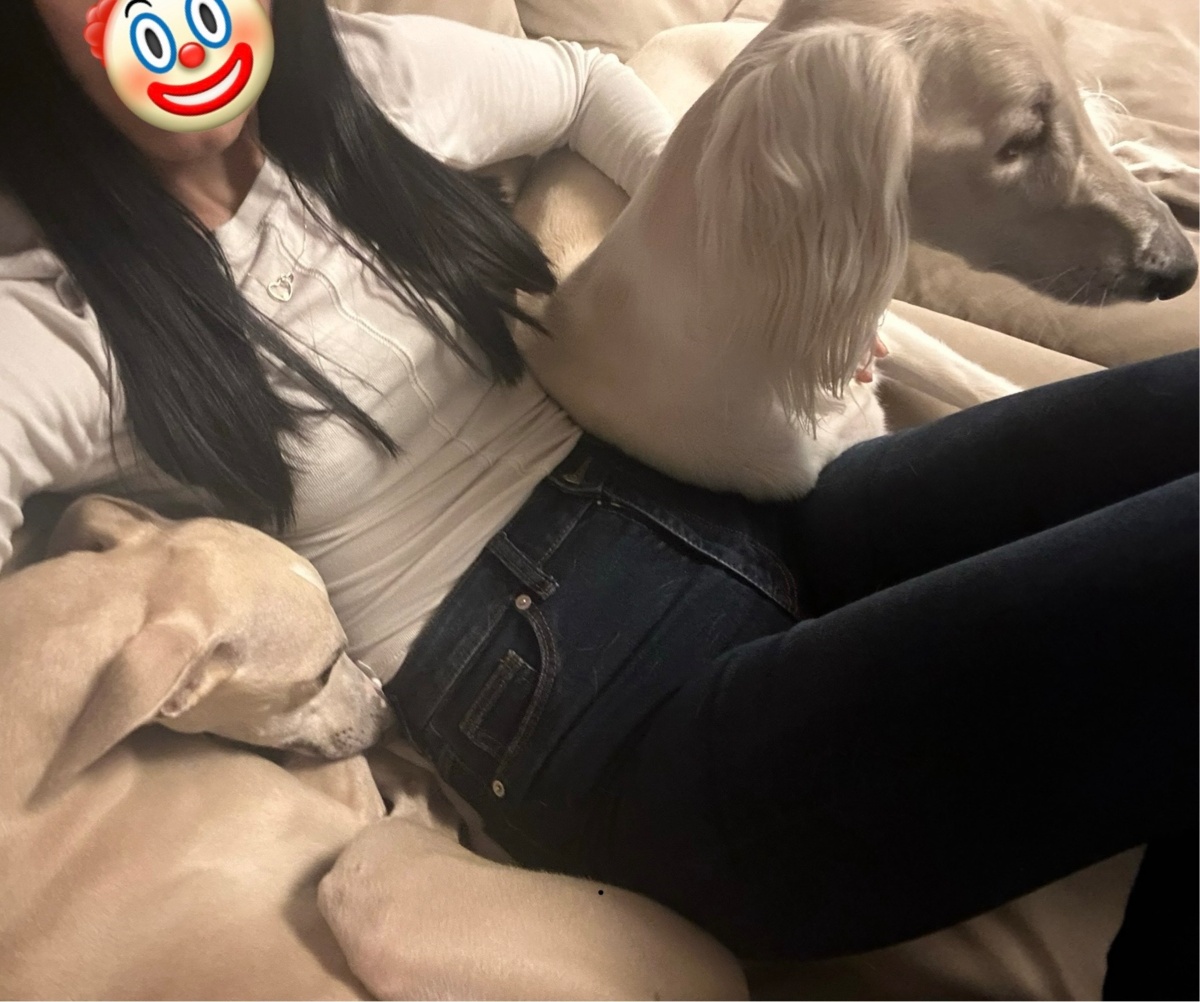 97639f17-9662-4f69-a3eb-ddebf397a6a8