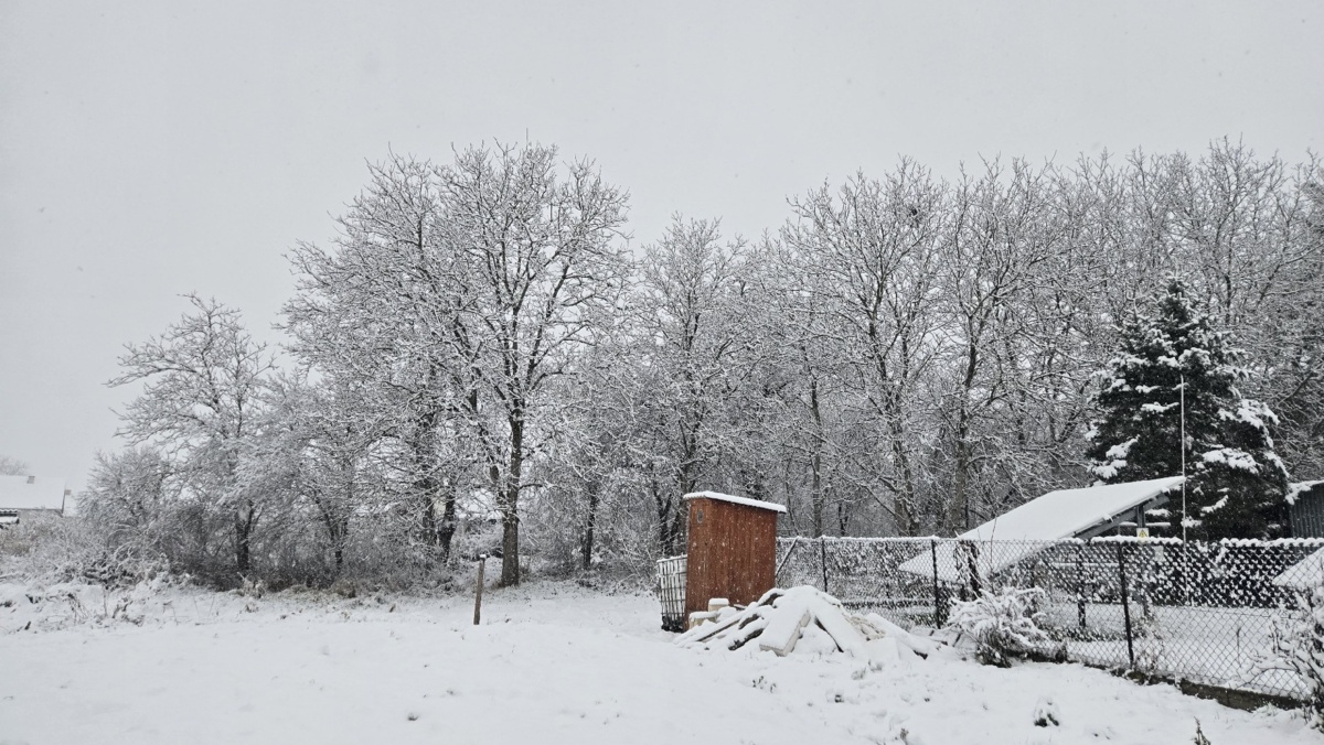 d628ad54-8f96-49ac-95d0-d9f96e63110b