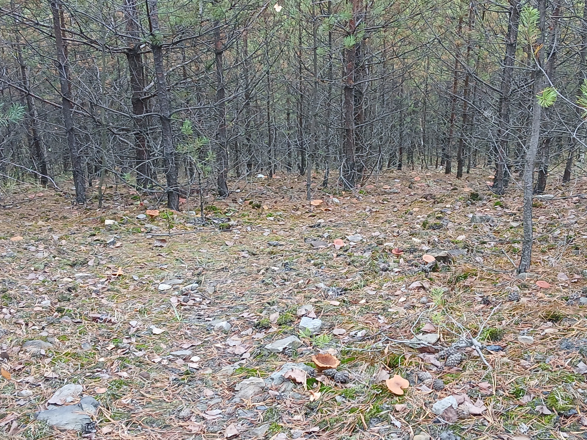 349b15a6-68d8-4c08-9ddd-f43b5fc18456