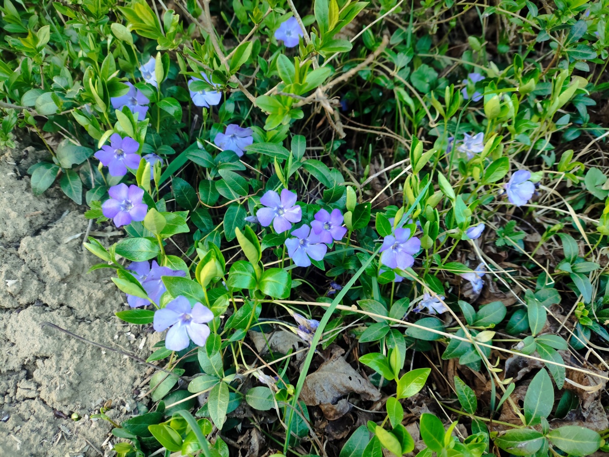 7016df0a-35d3-48f2-aa5f-791e2b2a7d2f