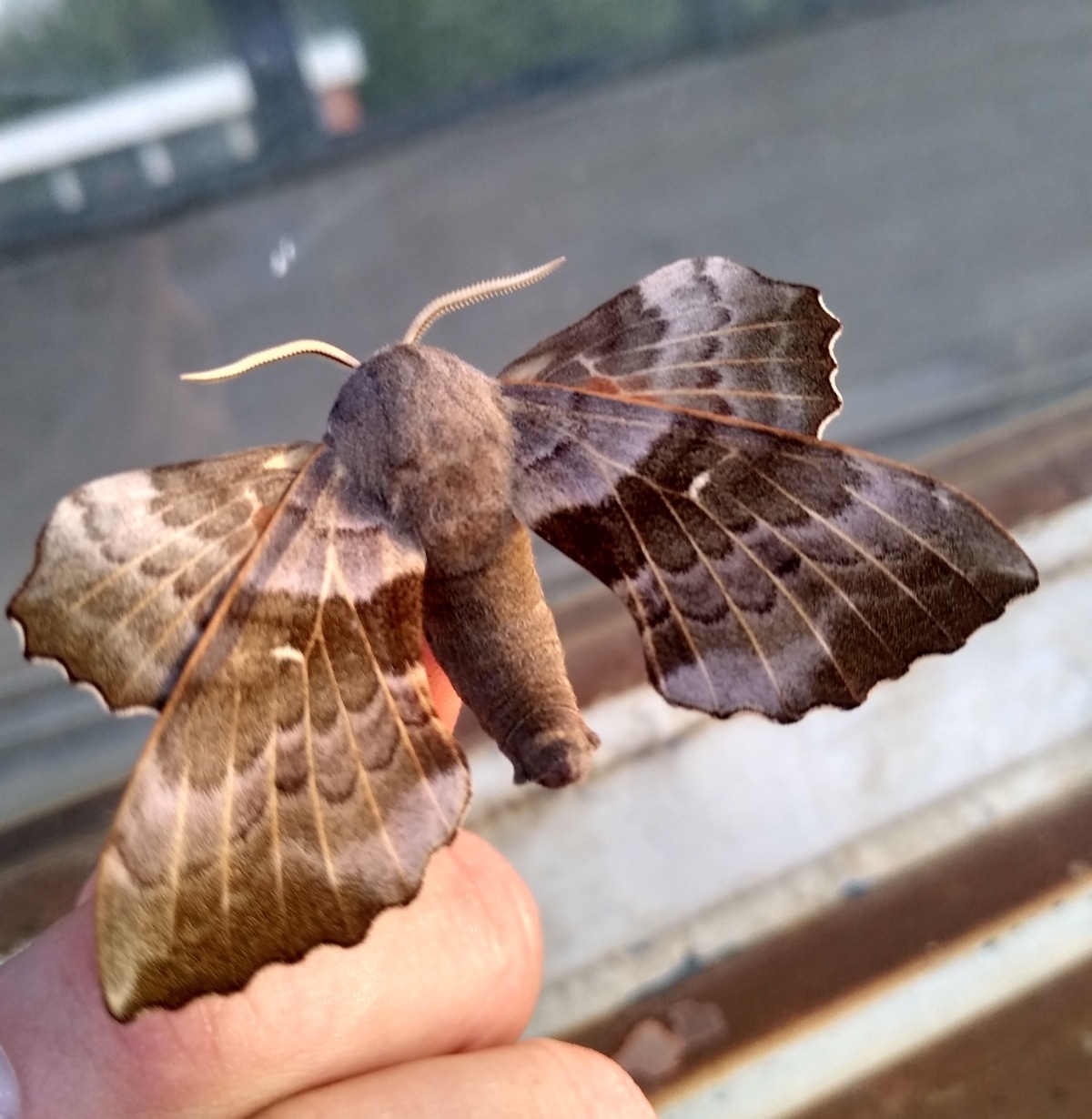 c4660caa-632f-4dc4-a872-e6861008d45f