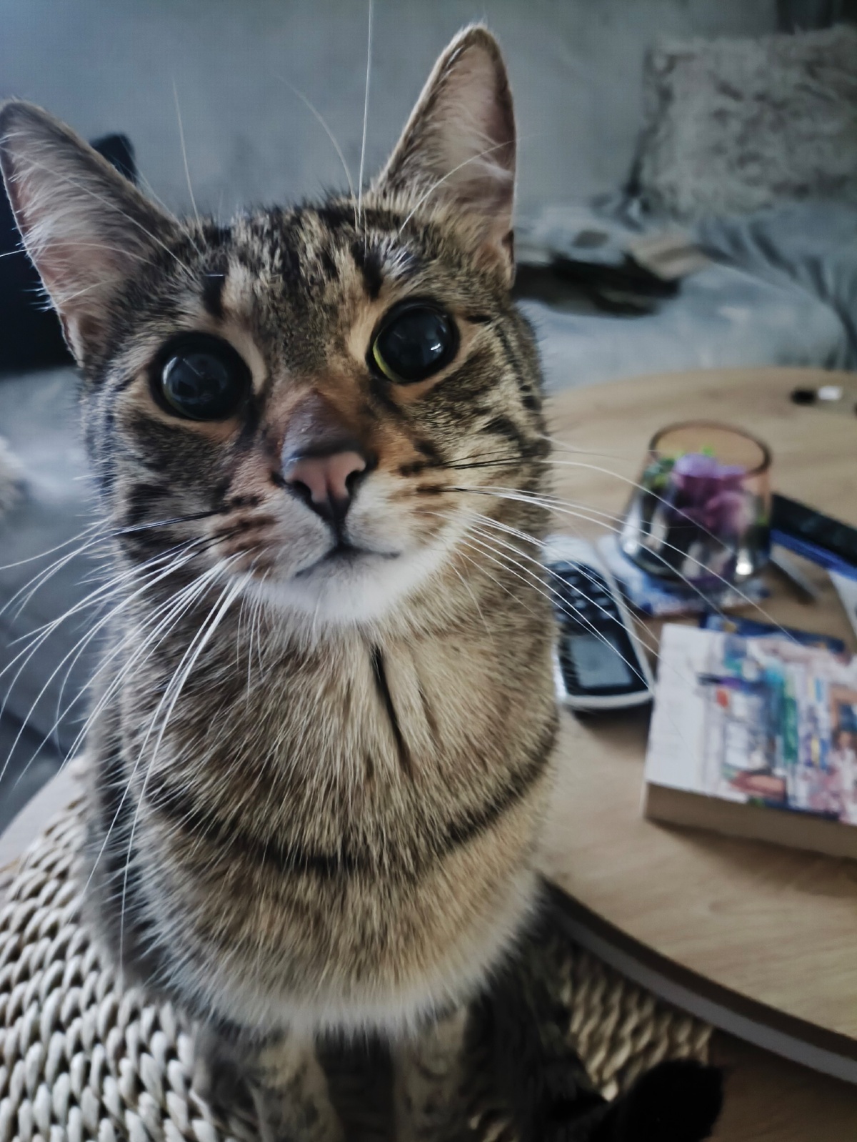 a0559b28-eedb-4d60-bc42-0a7d4dc49e2b