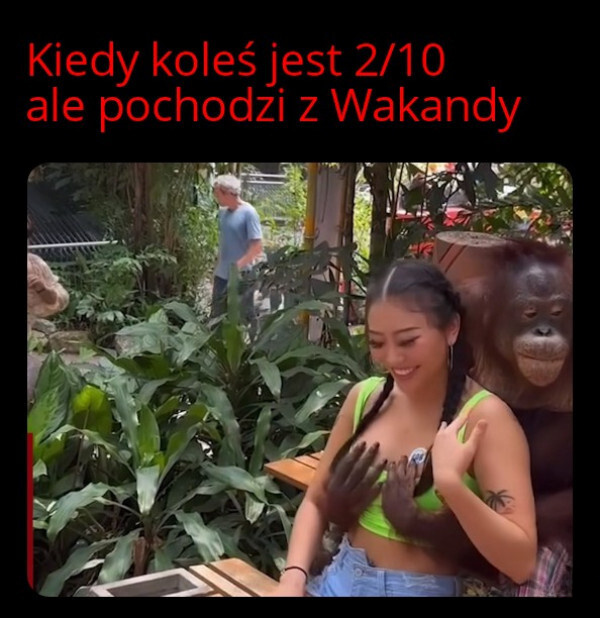 f411bd64-f19a-43d7-b6dc-89036e463d12