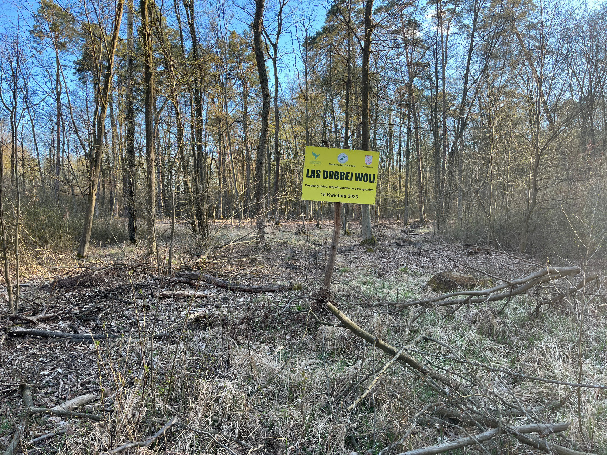 d140d45c-d7d2-4d52-b3d3-99fcc364ddbf